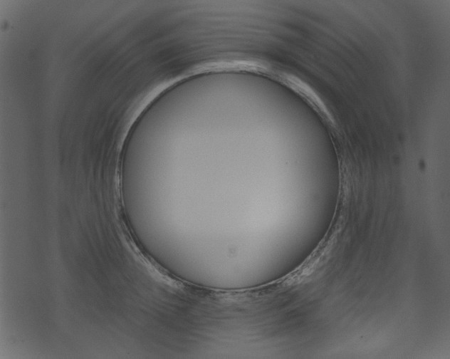 X0000074330852200608251018