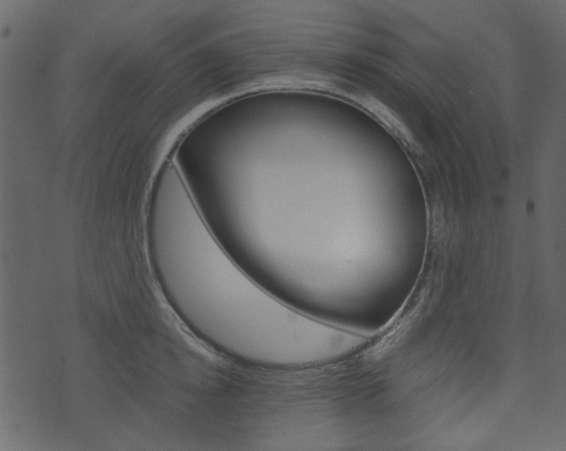 X0000074330854200608251018
