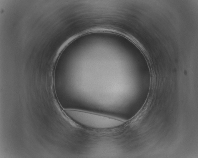 X0000074330862200608251018