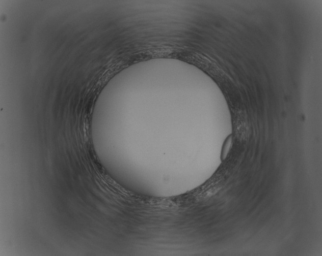 X0000074330866200608251018