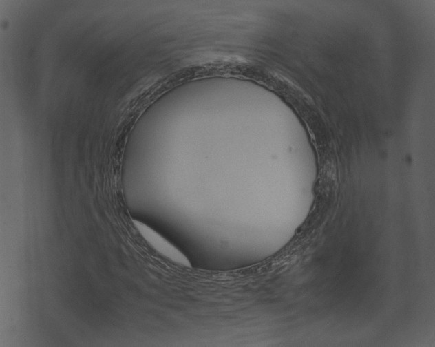 X0000074330869200608251018