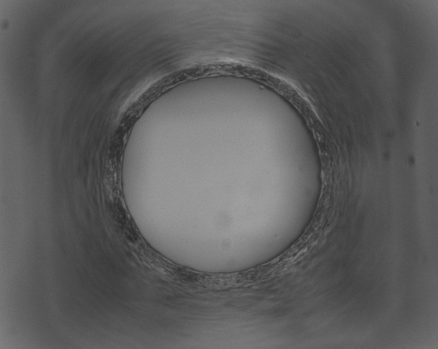X0000074330871200608251018