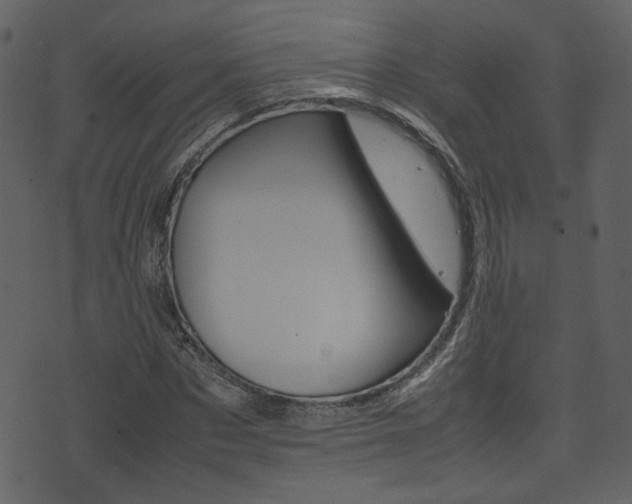 X0000074330873200608251018