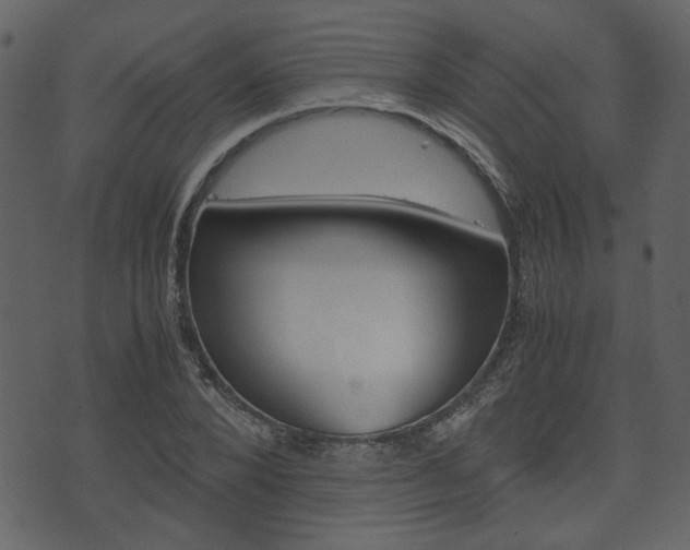 X0000074330880200608251017