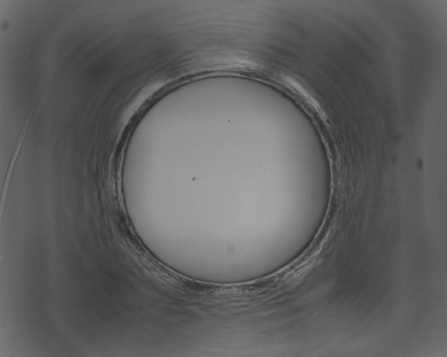 X0000074330883200608251017