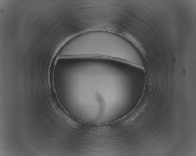 X0000074330884200608251017