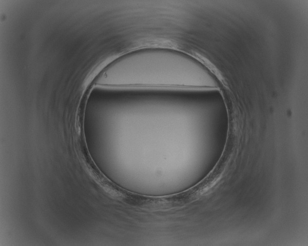 X0000074330885200608251017