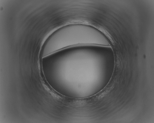 X0000074330888200608251017