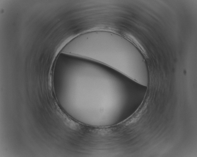X0000074330900200608251017