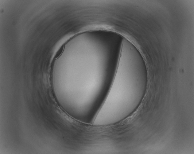 X0000074330912200608251017