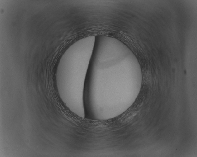 X0000074330913200608251016