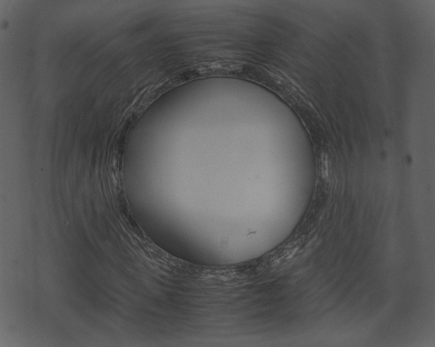 X0000074330915200608251016