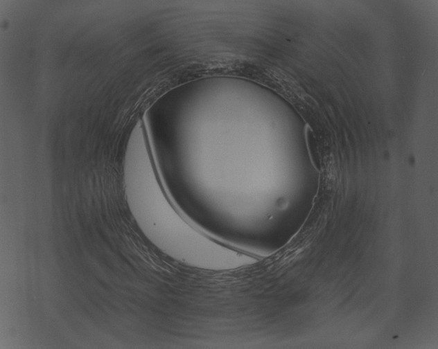 X0000074330916200608251016