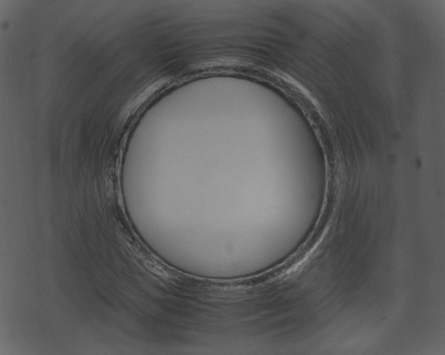 X0000074330921200608251016