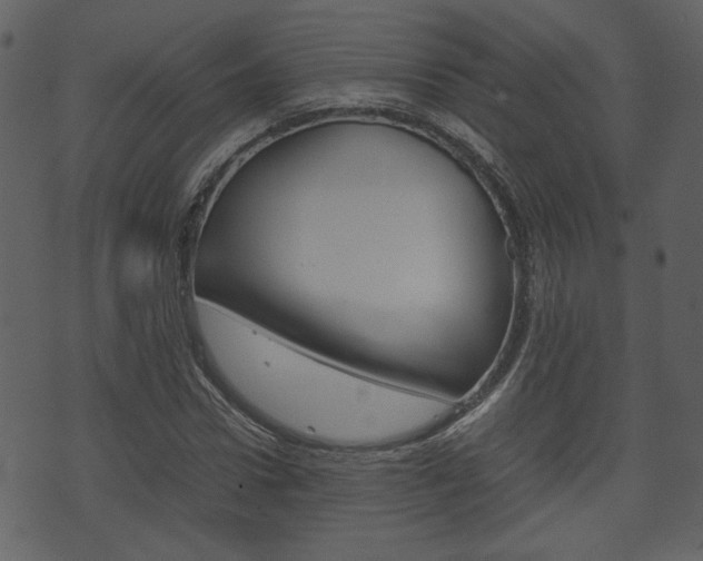 X0000074330922200608251016