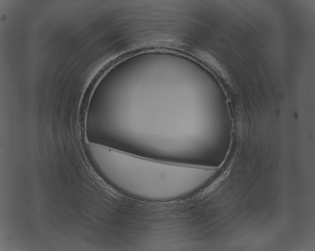 X0000074330924200608251016