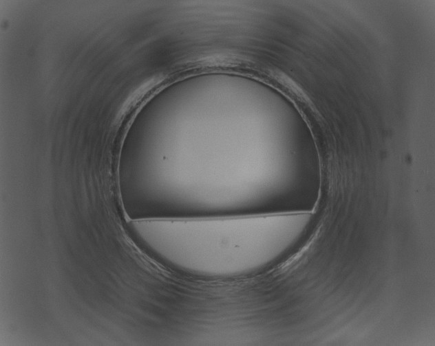 X0000074330930200608251016