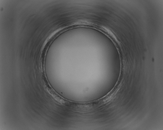 X0000074330931200608251016
