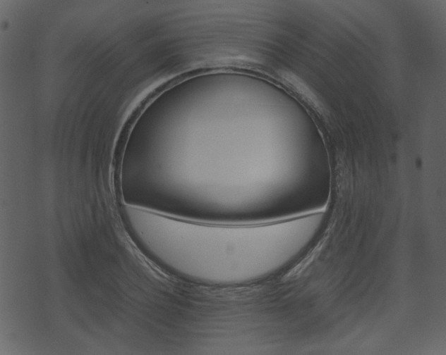 X0000074330932200608251016