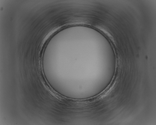 X0000074330933200608251016