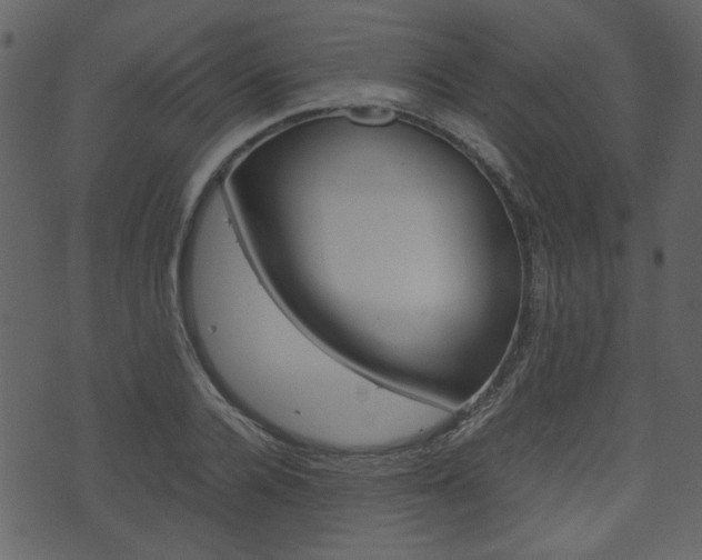 X0000074330936200608251016