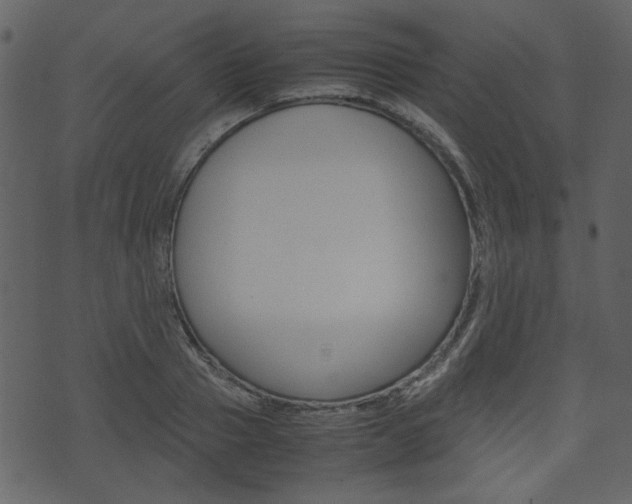 X0000074330937200608251016