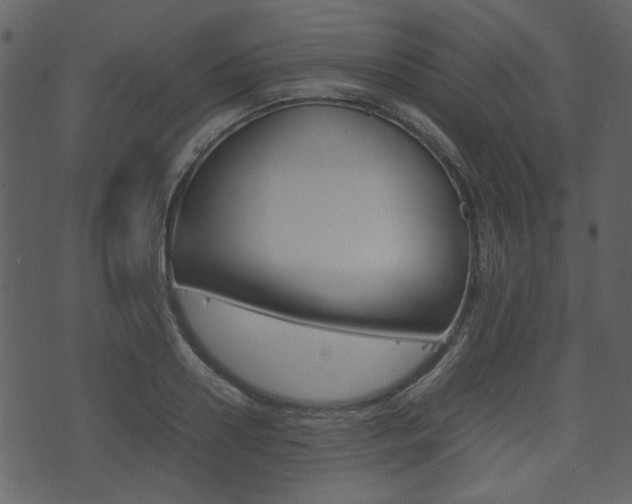 X0000074330938200608251017