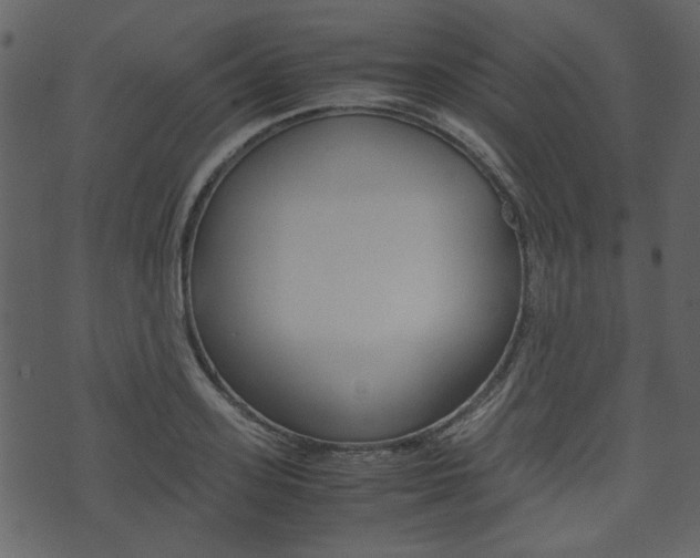 X0000074330939200608251017