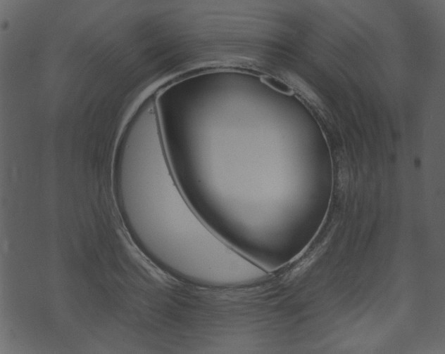 X0000074330940200608251017