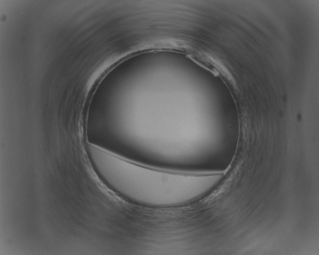 X0000074330944200608251017