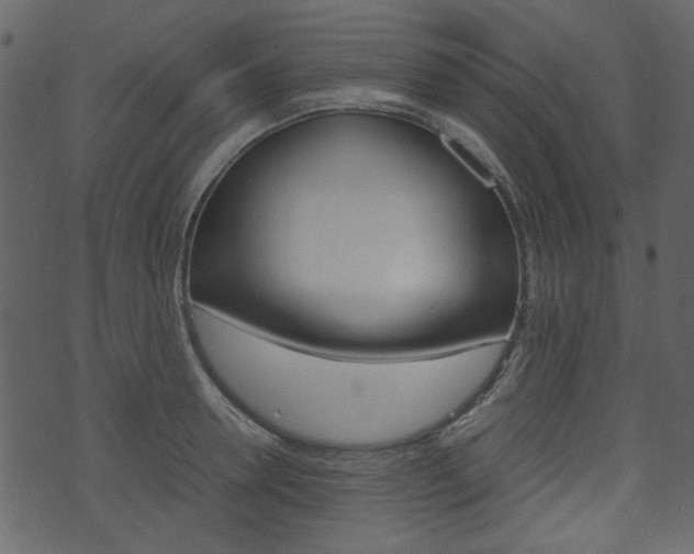 X0000074330946200608251017