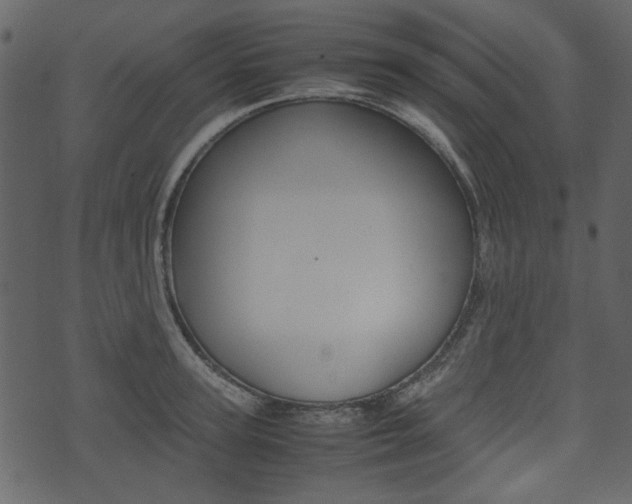 X0000074330947200608251017