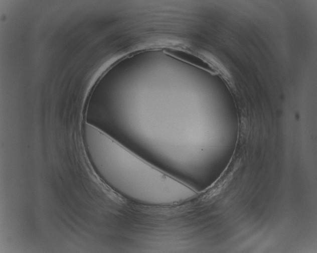 X0000074330948200608251017