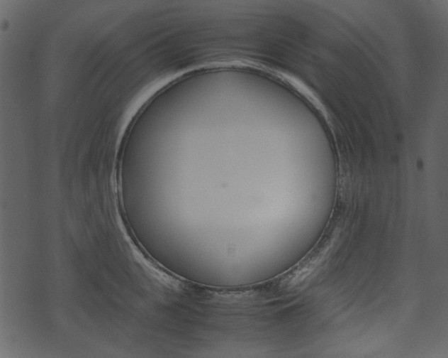 X0000074330951200608251017
