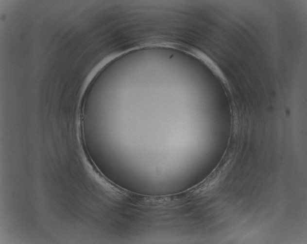 X0000074330955200608251017