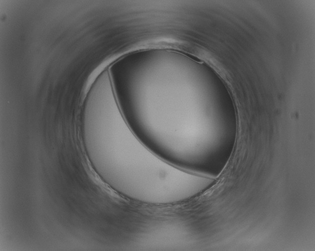 X0000074330960200608251017