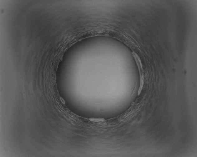 X0000074330961200608251016