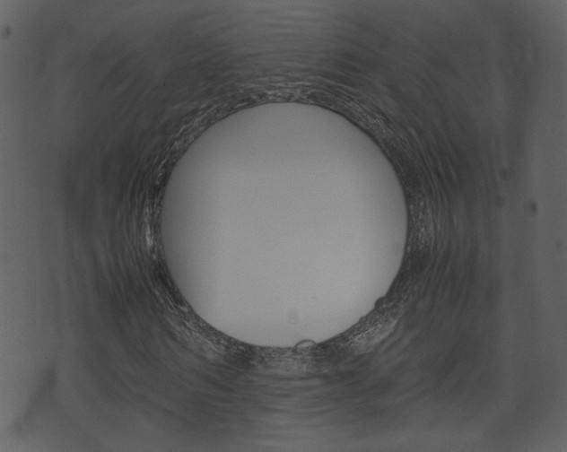 X0000074330962200608251016