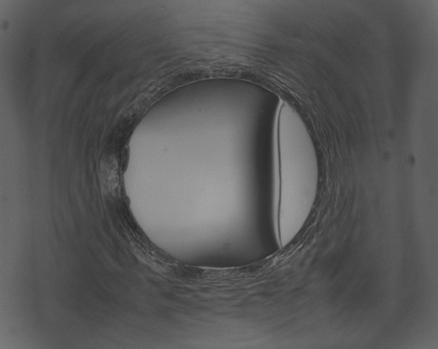 X0000074330963200608251016