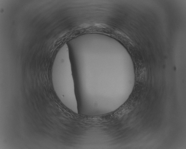 X0000074330966200608251016