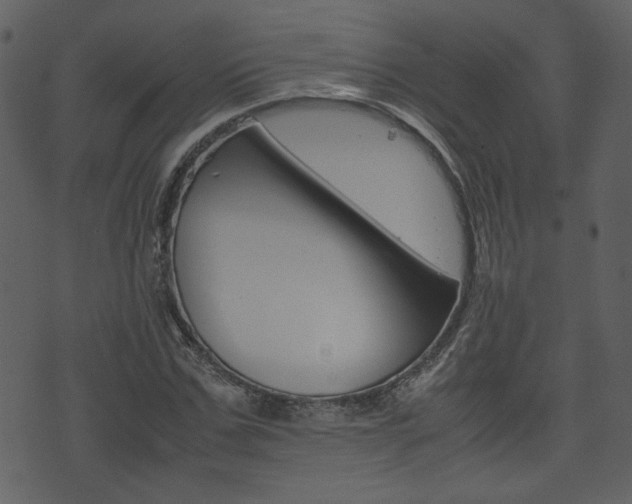 X0000074330971200608251016