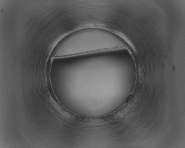 X0000074330972200608251016