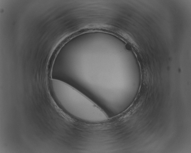 X0000074330976200608251016
