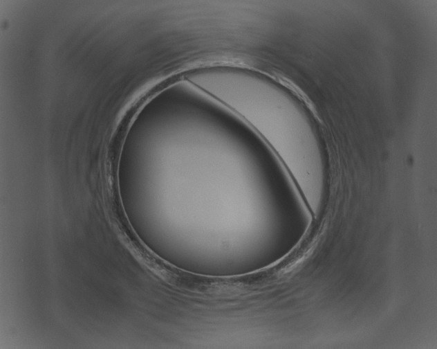 X0000074330981200608251016
