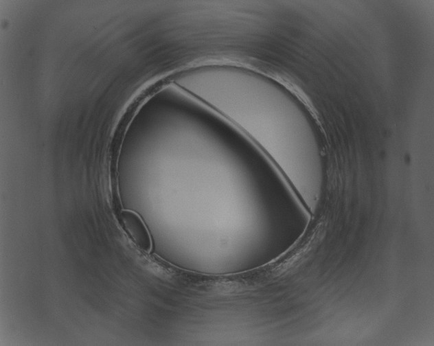 X0000074330984200608251016