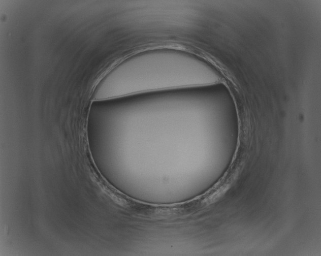 X0000074330985200608251016