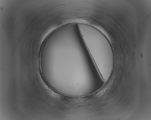 X0000074330999200608251015