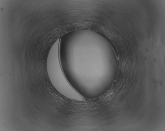 X0000074331010200608251015