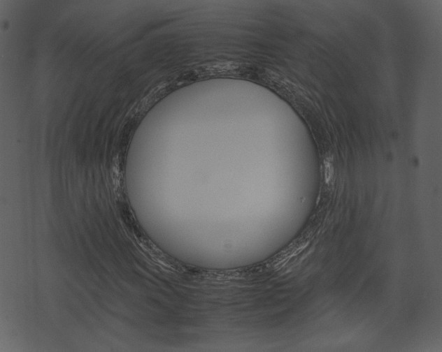 X0000074331011200608251015