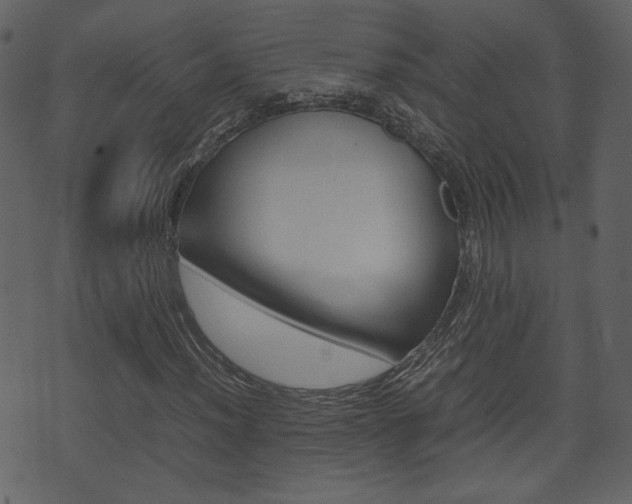 X0000074331012200608251015